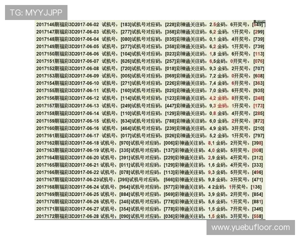 3D彩神通关注码金码与对应码的深度解析与应用探讨 3D彩神通关注码金码与对应码的深度解析与应用探讨